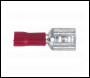 Sealey RTSET Clip Strip Deal - Red Terminals