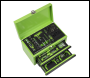 Sealey S01346 Siegen Mini Toolbox 2 Drawer with 111pc Tool Kit - Green