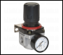 Sealey SA4001R Air Regulator - High Flow