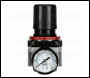 Sealey SA4001R Air Regulator - High Flow