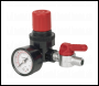 Sealey SA5/RG/14 Air Regulator 1/4 inch BSP Female to 1/4 inch BSP Male