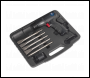 Sealey SA613 Premier Medium Stroke Composite Air Hammer Kit