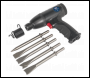 Sealey SA613 Air Hammer Kit Composite Premier - Medium Stroke