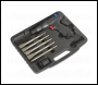 Sealey SA614 Premier Long Stroke Composite Air Hammer Kit