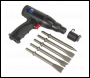 Sealey SA614 Air Hammer Kit Composite Premier - Long Stroke