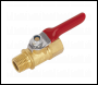 Sealey SA906 Lever Ball Valve 1/4 inch BSPT (M) x 1/4 inch BSP (F)