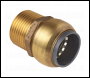 Sealey SBA15BSA SharkBite® Brass Straight Adaptor 15mm x 1/2 inch BSPT