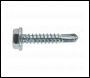 Sealey SDHX4825 Self-Drilling Screw 4.8 x 25mm Hex Head Zinc Pack of 100