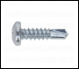 Sealey SDPH4819 Self-Drilling Screw 4.8 x 19mm Pan Head Phillips Zinc Pack of 100