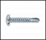 Sealey SDPH4825 Self-Drilling Screw 4.8 x 25mm Pan Head Phillips Zinc Pack of 100