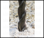 Sealey SDS6.5X110 Worksafe® SDS Plus Drill Bit 6.5 x 110mm