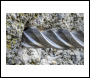 Sealey SDS8X210 Worksafe® SDS Plus Drill Bit 8 x 210mm