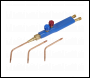 Sealey SGA20 Oxyacetylene Welding Torch Set