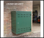 Sealey SGCSC219 Solid Gas Cylinder Safety Cabinet - 2 x 19kg