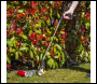Sealey SLP4 Litter Picker - Pack of 4