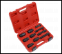 Sealey SMC48 Motorcycle Flywheel Puller Set 10pc