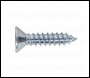 Sealey ST4219 Self Tapping Screw 4.2 x 19mm Countersunk Pozi Pack of 100