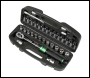 Sealey STW910B Premier Black Torque Wrench Set 1/4 inch Sq Drive 5-25Nm 33pc