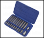 Sealey SX105 Ribe Bit Set 22pc 3/8 inch  & 1/2 inch Sq Drive
