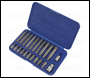 Sealey SX105 Premier Ribe Bit Set 3/8 inch  & 1/2 inch Sq Drive 22pc