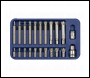 Sealey SX105 Premier Ribe Bit Set 3/8 inch  & 1/2 inch Sq Drive 22pc