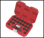 Sealey SX207 Locking Wheel Nut Key Set for BMW 22pc