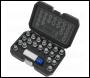 Sealey SX209 Locking Wheel Nut Key Set for BMW & Mini 21pc