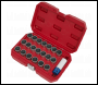 Sealey SX217 Locking Wheel Nut Key Set for BMW 21pc