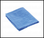 Sealey TARP1012 Tarpaulin 3.05 x 3.66m Blue