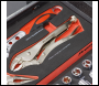 Sealey TBT59 Premier Locking Pliers & Adjustable Wrench Set with Tool Tray 4pc