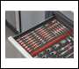 Sealey TBT60 TRX-Star*, Hex & Spline Bit Set with Tool Tray 44pc