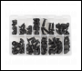 Sealey TCFT100AS Fir Tree Clip Assortment - Pack of 100