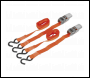Sealey TD0540S2 Ratchet Straps 25mm x 4m Polyester Webbing with S-Hooks 500kg Breaking Strength - Pair