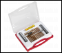 Sealey TST10 Temporary Puncture Repair Kit