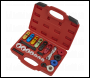 Sealey VS0457 Fuel & Air Conditioning Disconnection Tool Kit 21pc