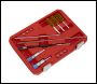 Sealey VS1900 Injector Bore Cleaning Brush Set 14pc
