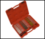 Sealey VS1910 Injector Bore Cleaning Brush Set 38pc