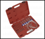 Sealey VS2046 Diesel Injector Flow Test Kit - Common Rail