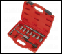 Sealey VS2055 Diesel Injector Seat Cleaner Set 10pc