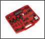 Sealey VS2064 Diesel Injector Master Kit