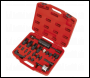 Sealey VS2064 Diesel Injector Master Kit