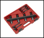 Sealey VS2081 Petrol Fuel Injection Removal/Installation Kit for BMW & Mini