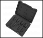Sealey VS5282 Thread Chaser Set 9pc