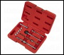 Sealey VS640 Mercedes CDi Injector Stud Repair Kit
