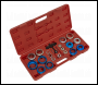 Sealey VS7002 Oil Seal Removal/Installation Kit