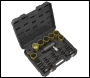 Sealey VS7034 Hydraulic Bush & Bearing Removal/Installation Kit 18 Tonne