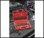 Sealey VS9203 Terminal Tool Kit 23pc