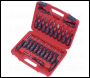 Sealey VS9203 Terminal Tool Kit 23pc