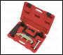 Sealey VSE4816 Petrol Engine Timing Tool Kit - for Mercedes 1.6/1.8 M271 - Chain Drive