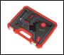 Sealey VSE5032 Front Pulley & Flywheel Locking Tool Set - Chain Drive